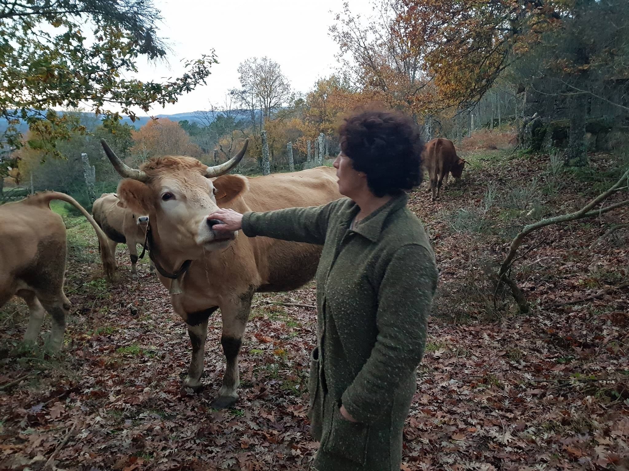 Agricultora acaricia uma vaca